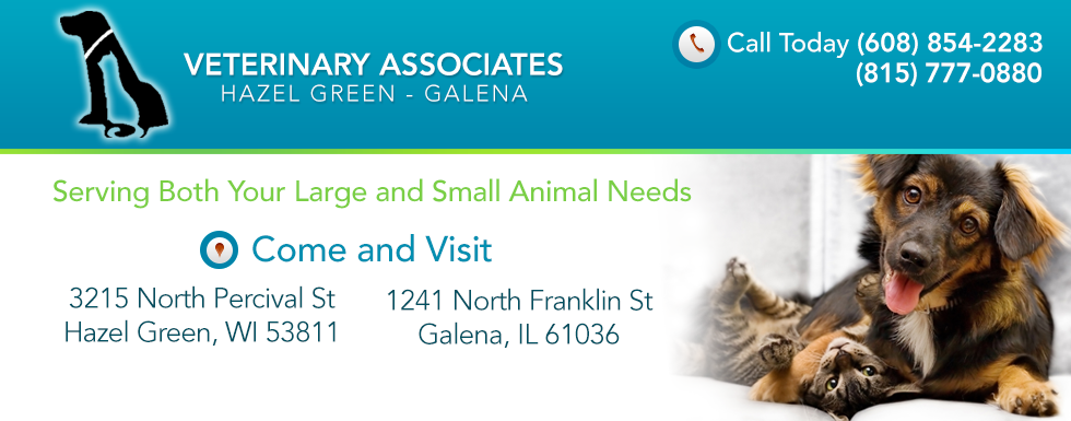 Veterinary Associates - Galena 1241 Franklin St, Galena Illinois 61036