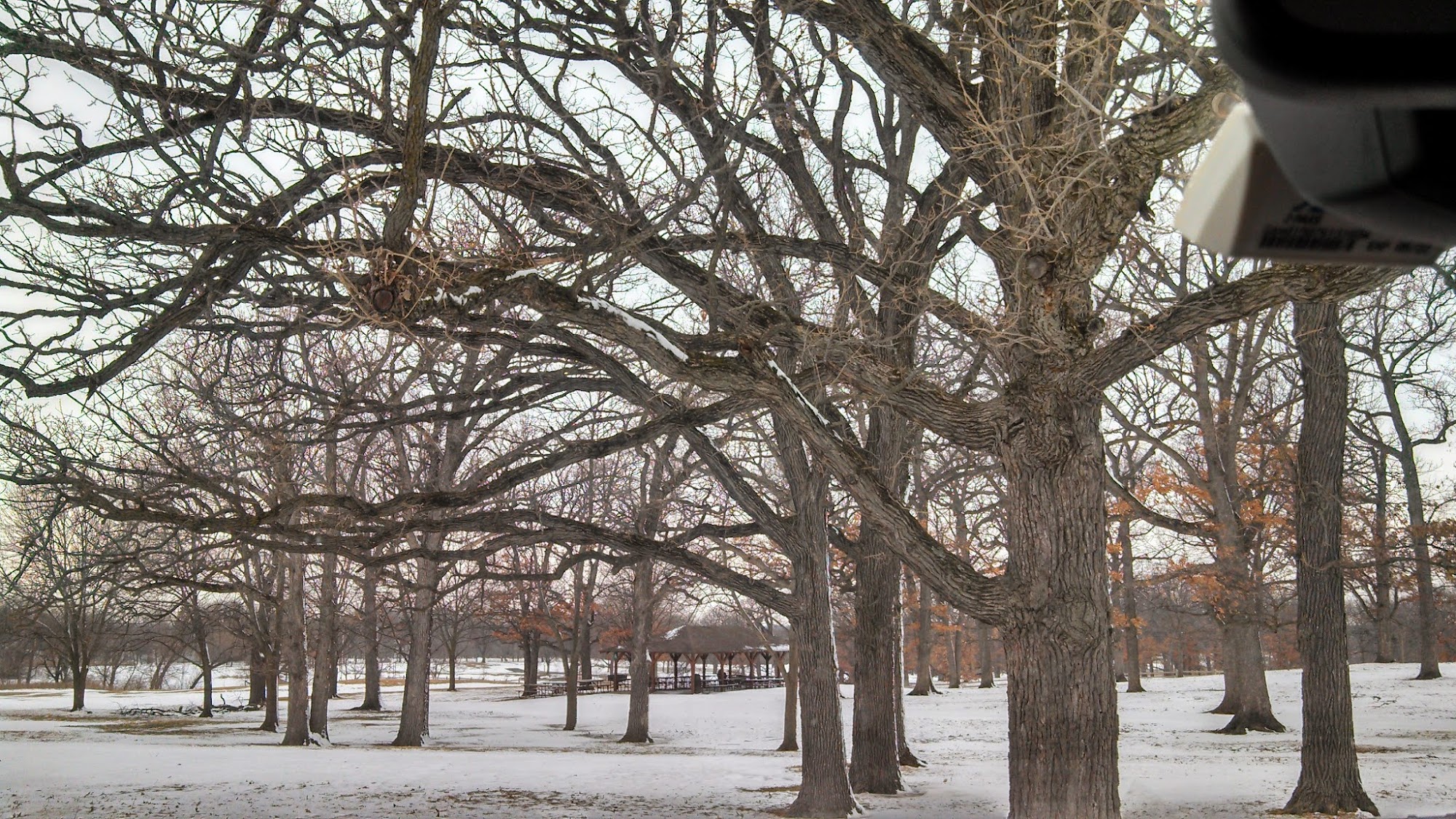 Sunrise Tree Care