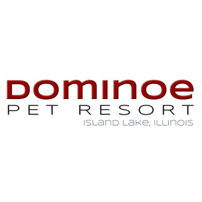 Dominoe Pet Resort Island Lake