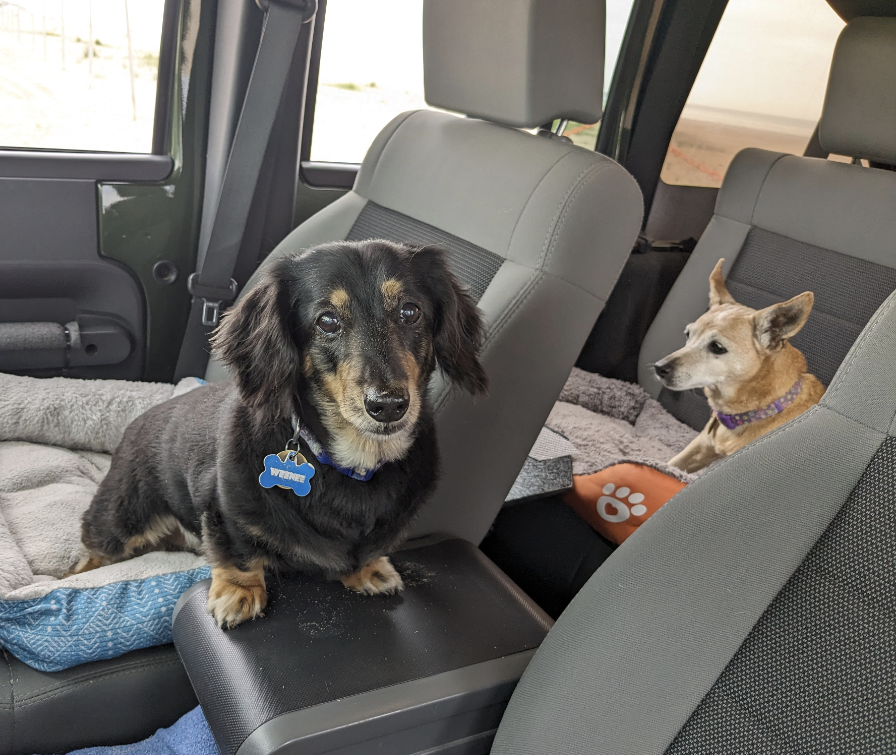 Perfect Pooch Joliet