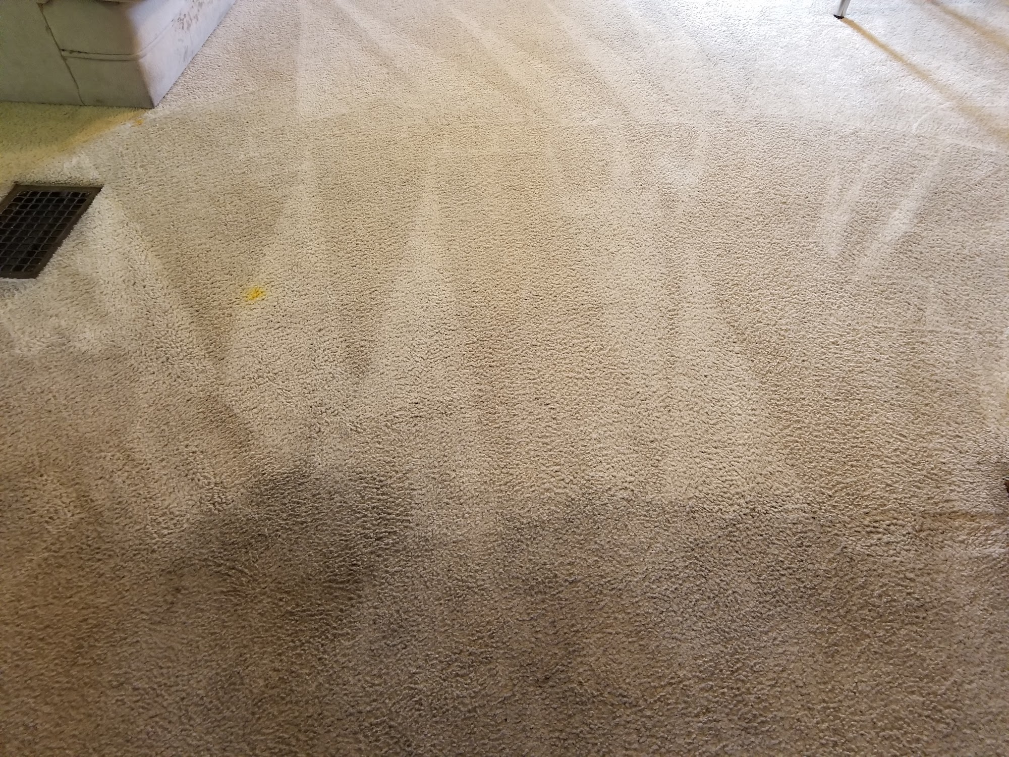 D's Carpet, Area Rug & Upholstery Cleaning