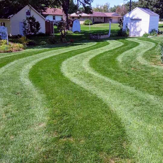 True Vine Landscaping and Lawn Care, LLC 14307 W Fisher Rd, Lena Illinois 61048