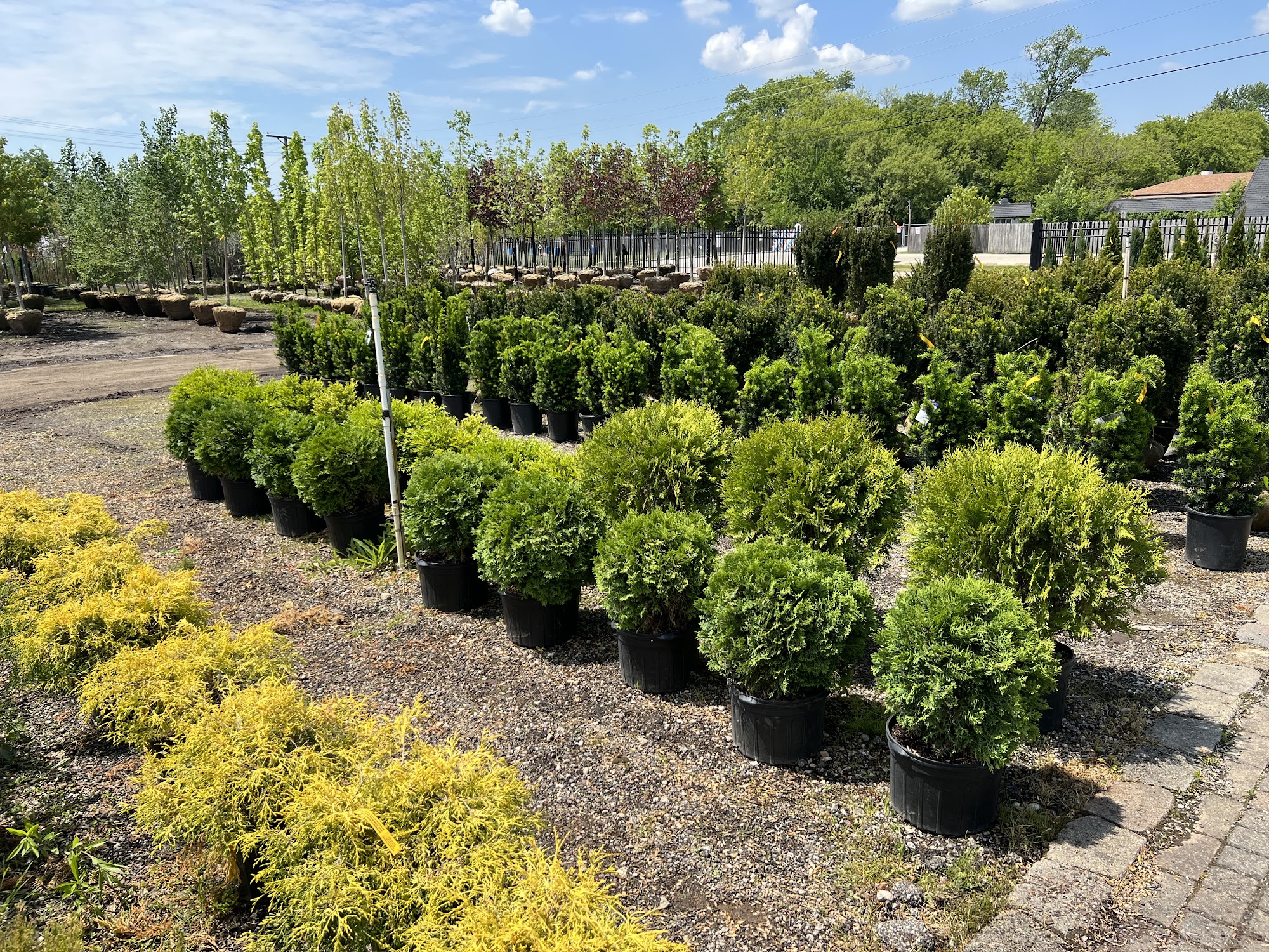 Rolling Hills Nursery 22149 N Pet Ln, Lincolnshire Illinois 60069