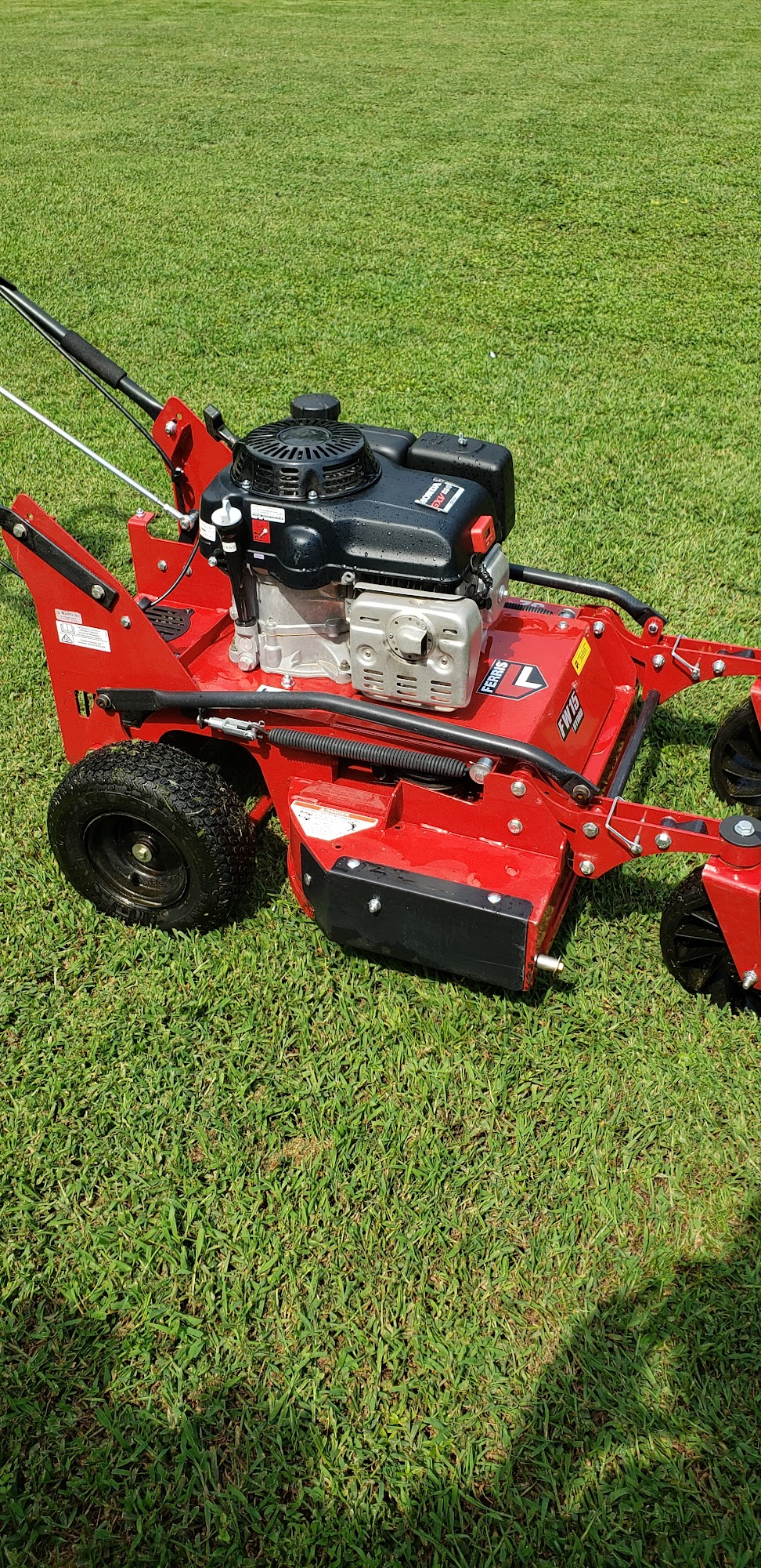 Step by Step Lawn Care