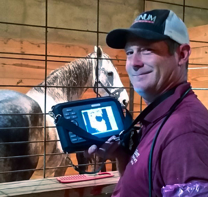 Hoerr Veterinary Service Morton