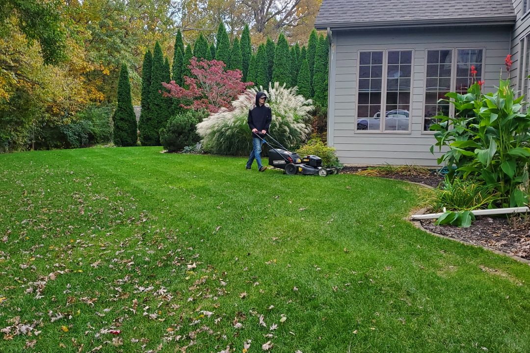 A Boy and His Mower