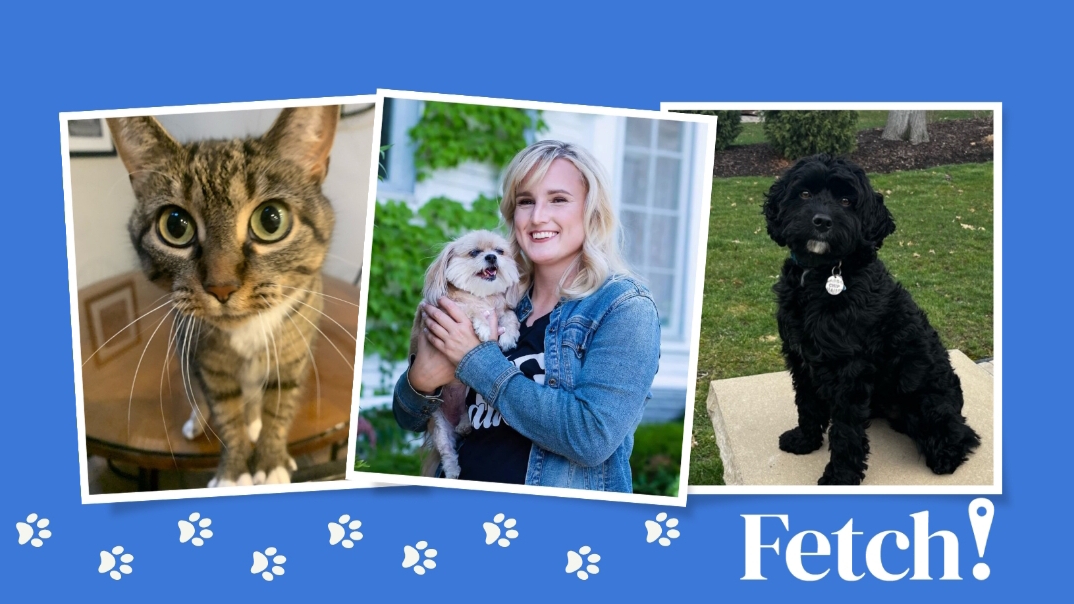 Fetch! Pet Care Naperville