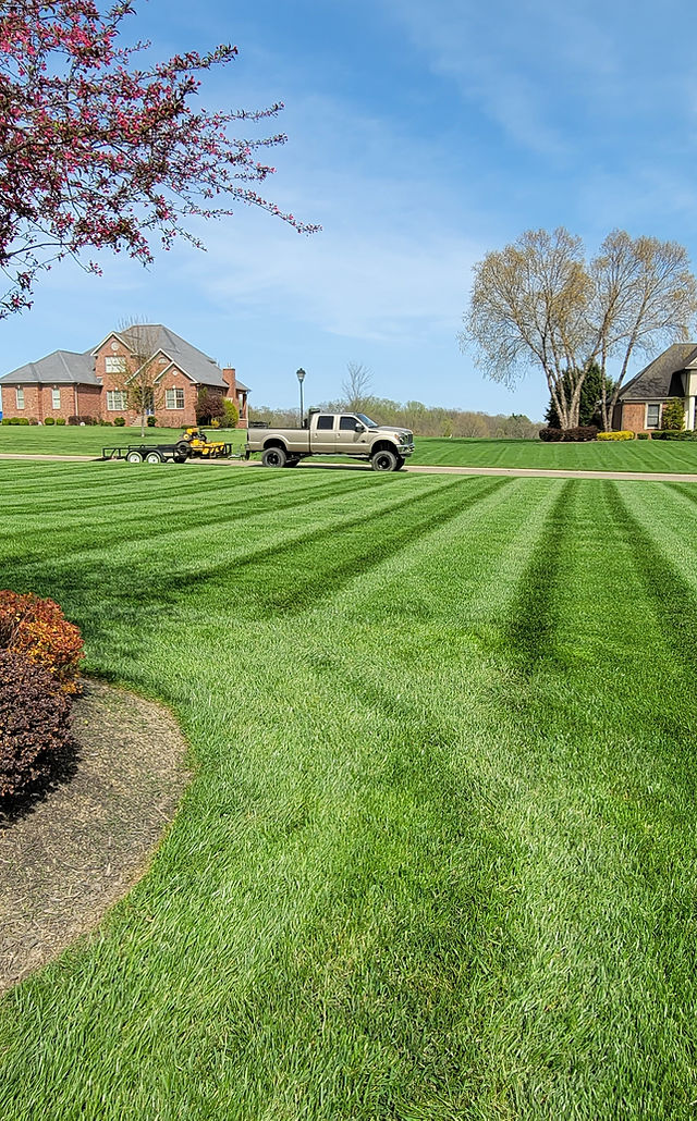 Nature's Best Lawn Care Solutions