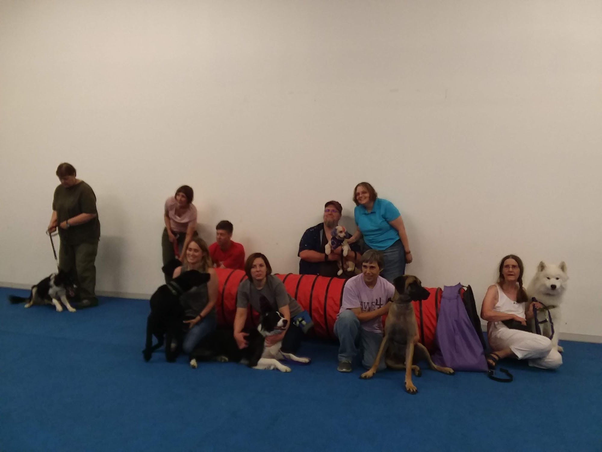 Creations Dog Training Center Normal