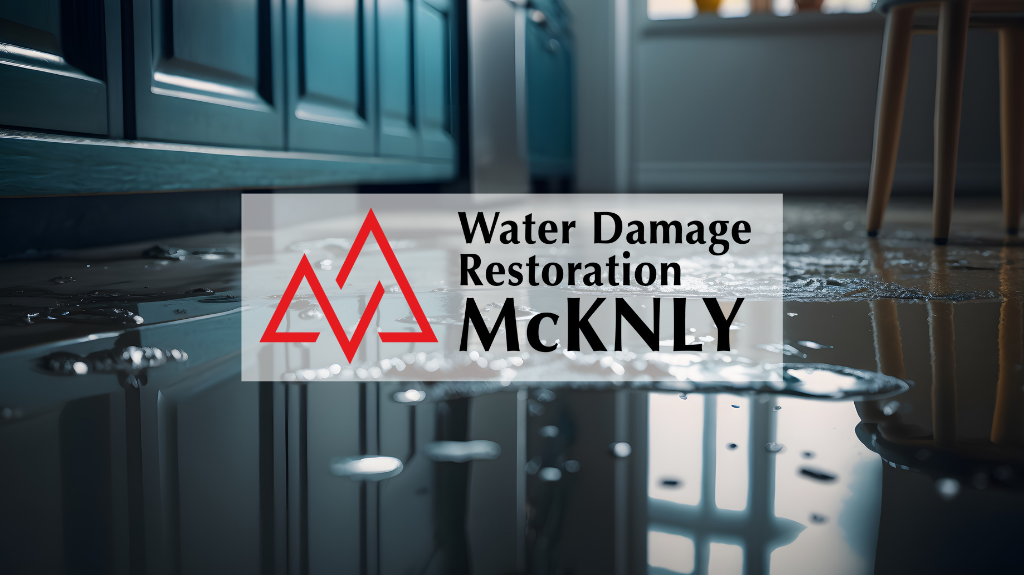 Water Damage Restoration McKNLY