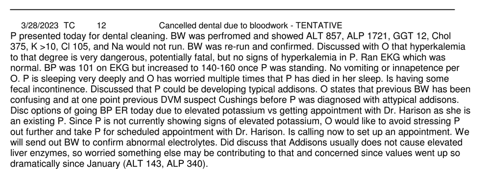 Glencoe Animal Hospital Northbrook