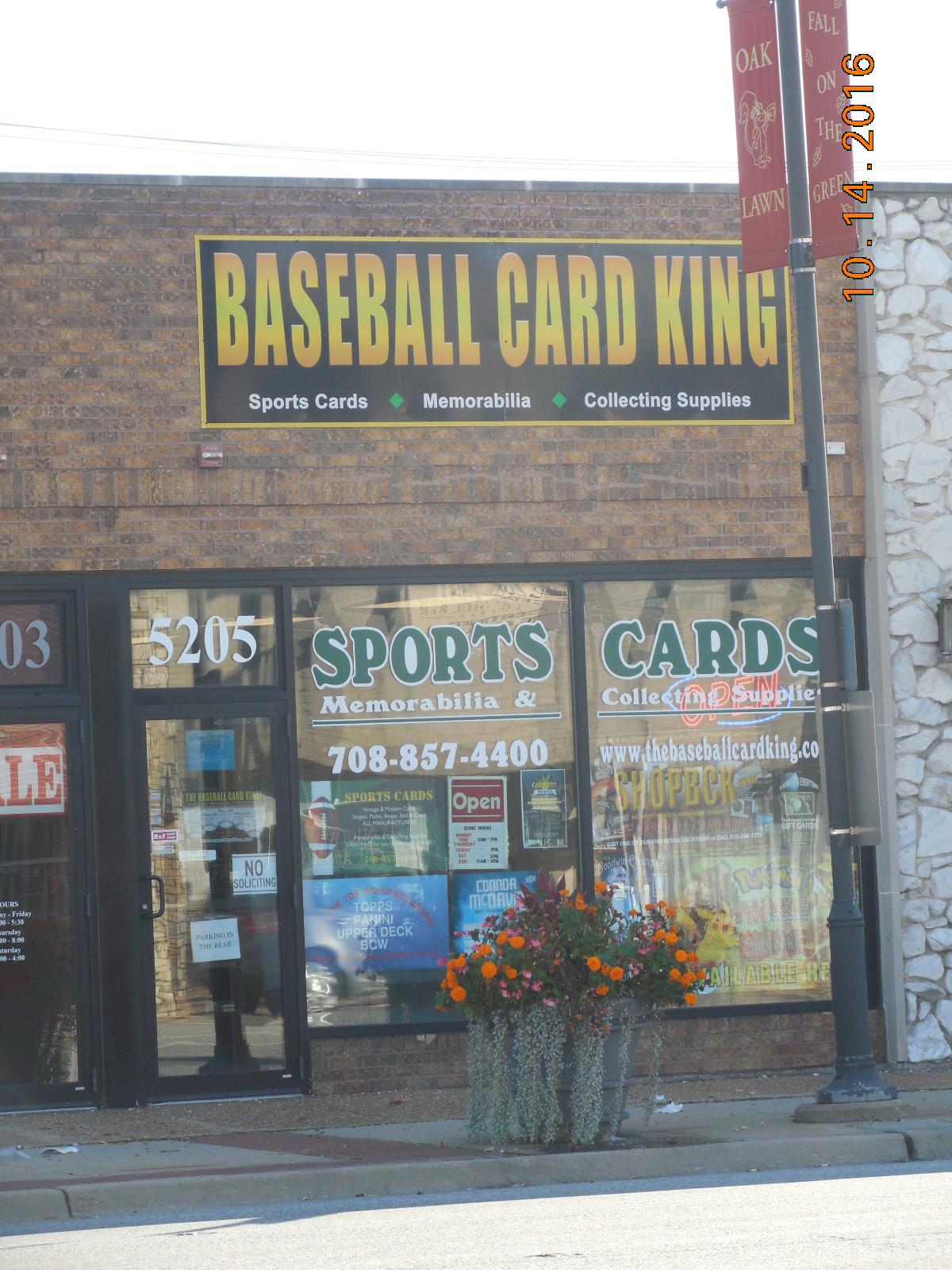 The Baseball Card King