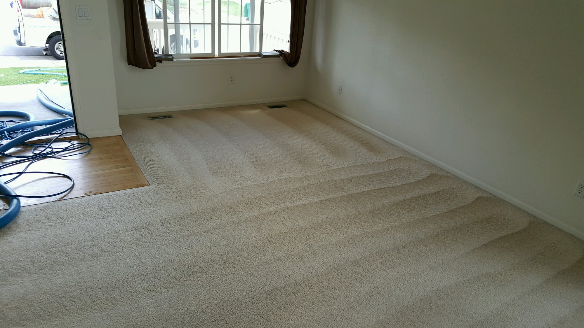 Leaf Carpet Cleaning Services