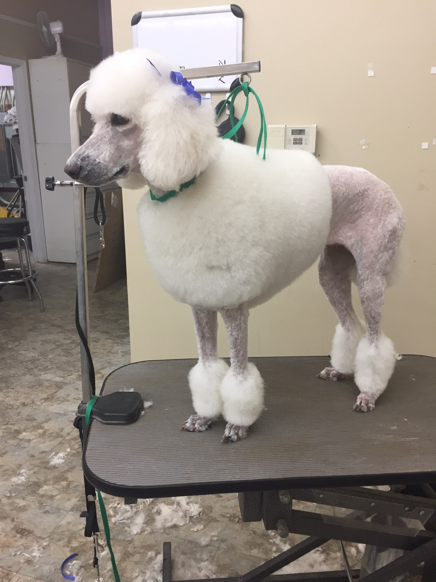 Top Hat'n Tails Orland Park