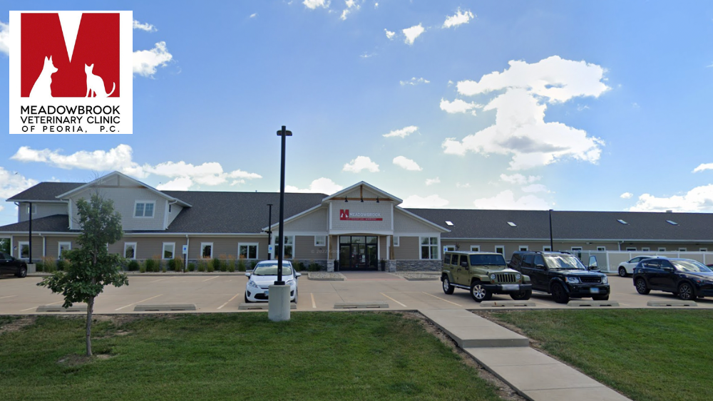 Meadowbrook Veterinary Clinic North
