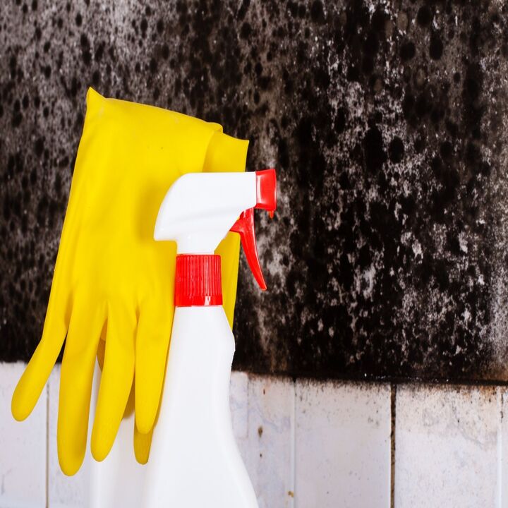 Mold Removal & Remediation Experts of Washington IL