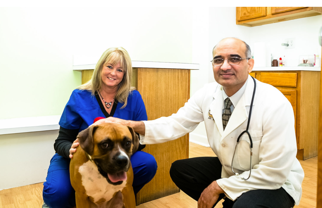 Gentle Care Veterinary Clinic
