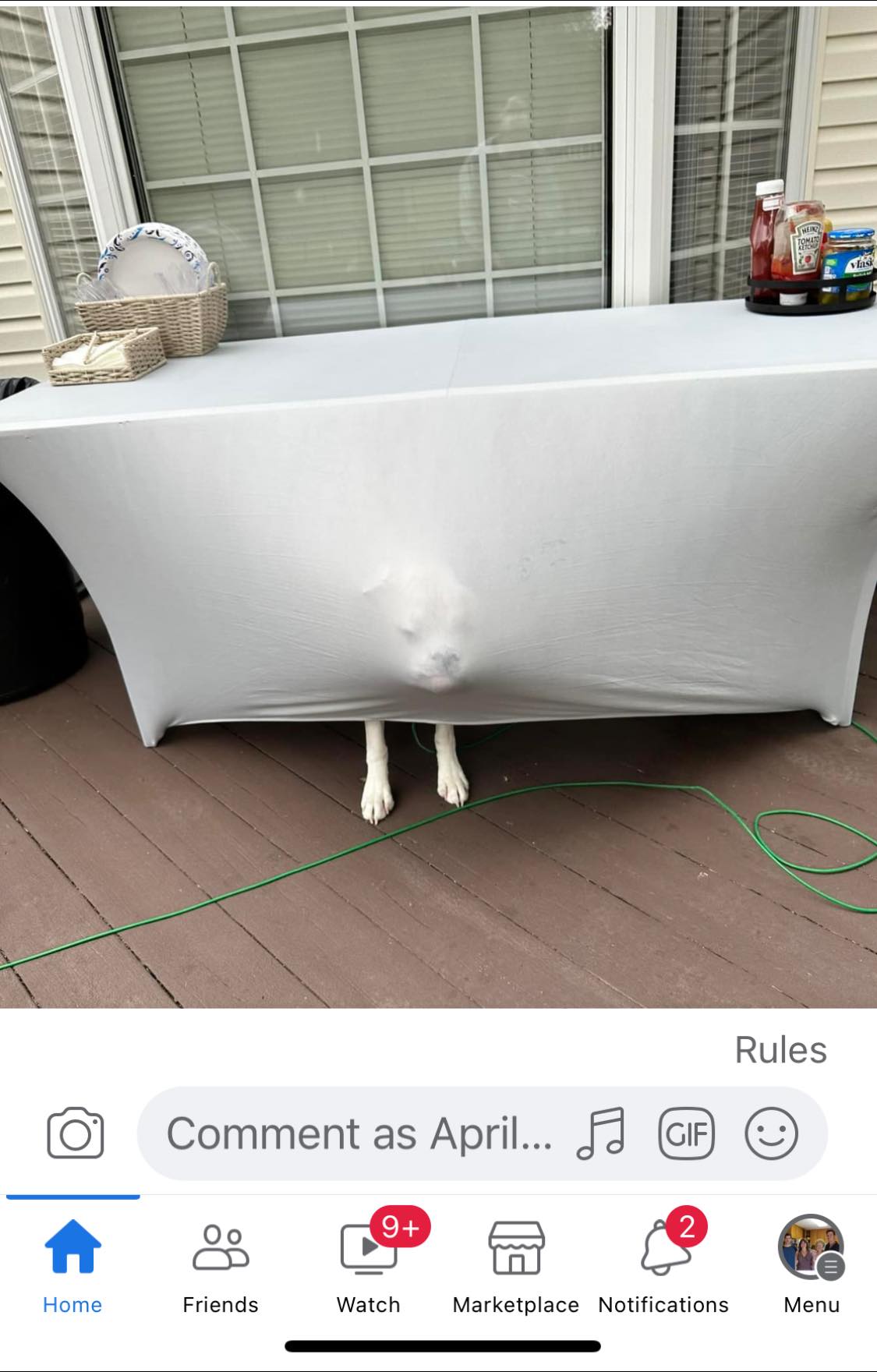 Photo credit: facebook