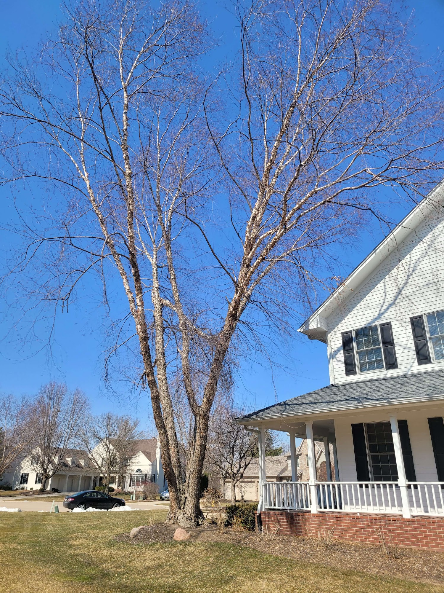 Cully's Tree Service 18921 43rd Ave Ct N, Port Byron Illinois 61275