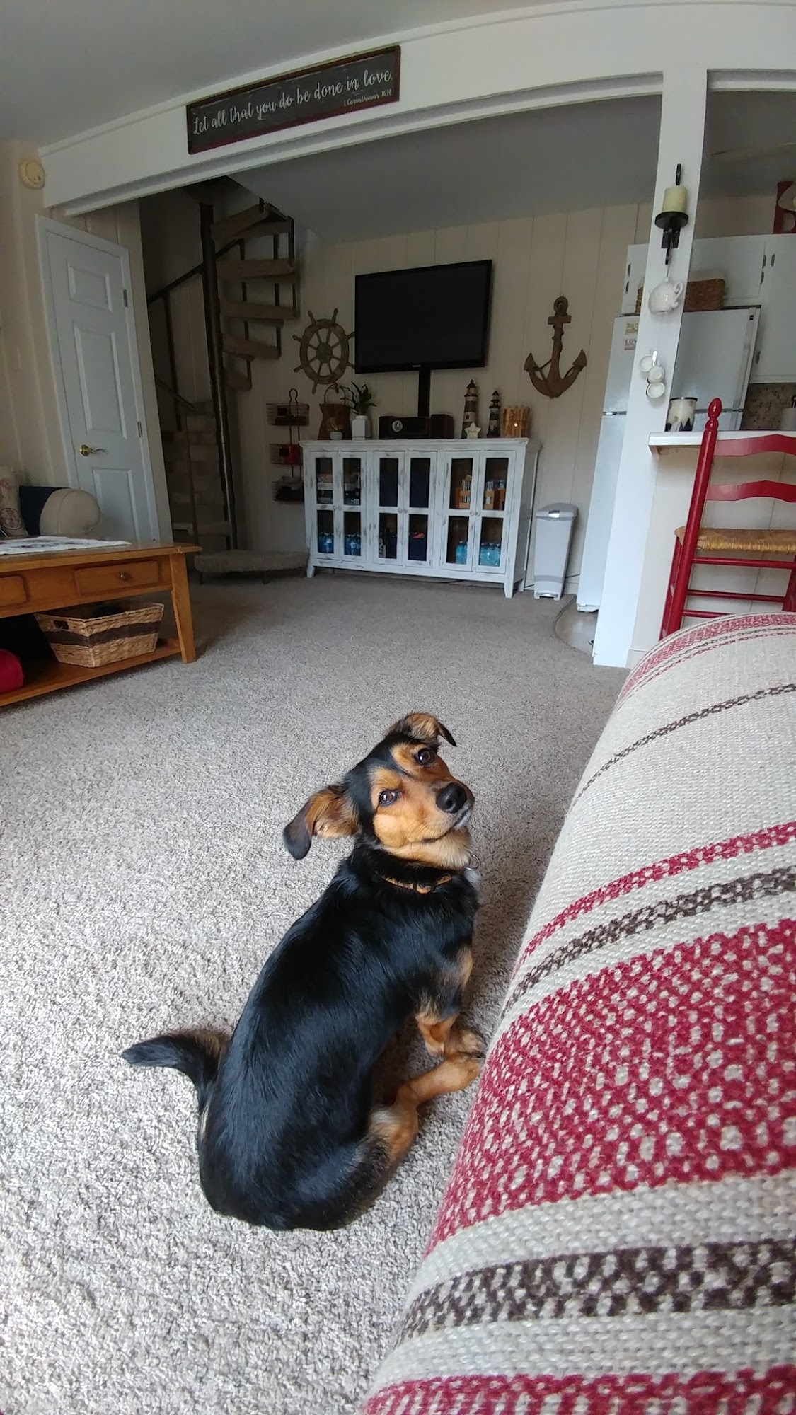 Bark-N-Dog River Grove