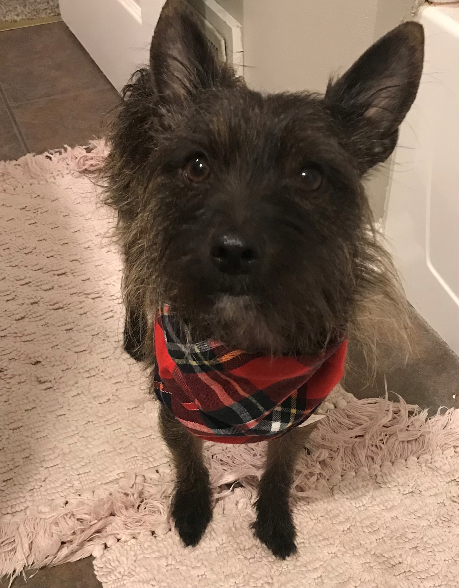 To the Nines Rockford