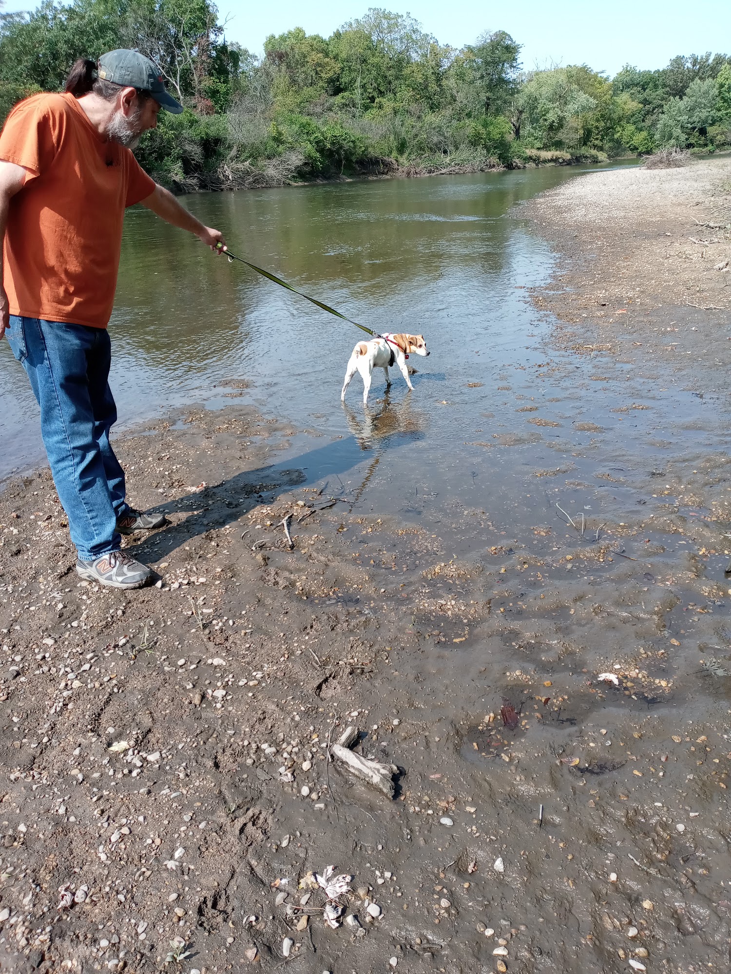 Go Dog Rockford Rockford