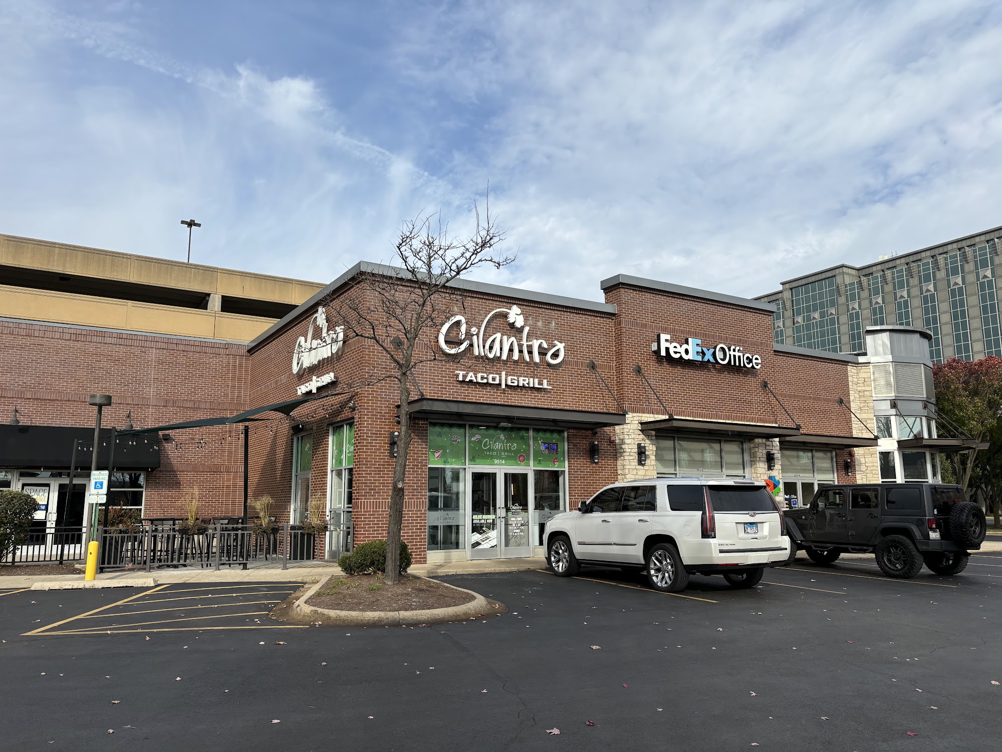 Cilantro Taco Grill - Rosemont