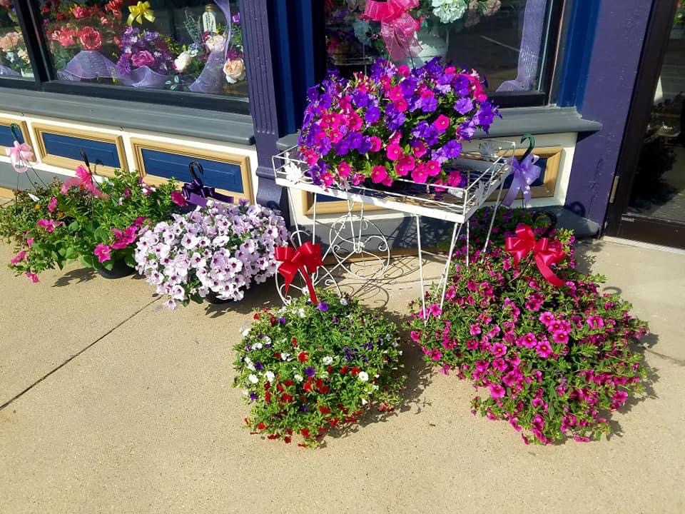Johnson's Floral & Gift In the Village Square, 37 S Main St Suite A, Sandwich Illinois 60548