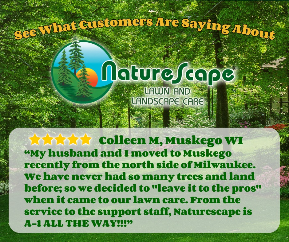 Naturescape Lawn and Landscape Care 3749 25th Ave, Schiller Park Illinois 60176