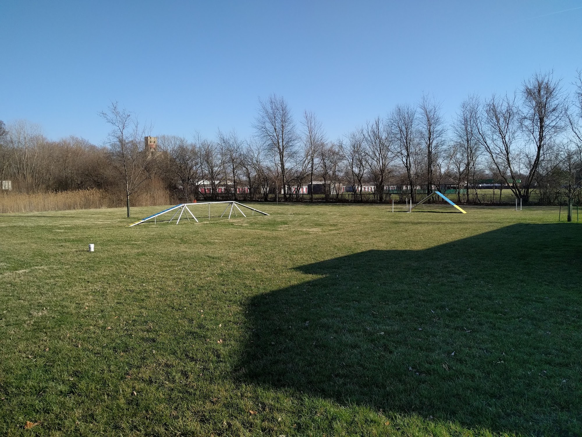 Extreme K-9 Springfield