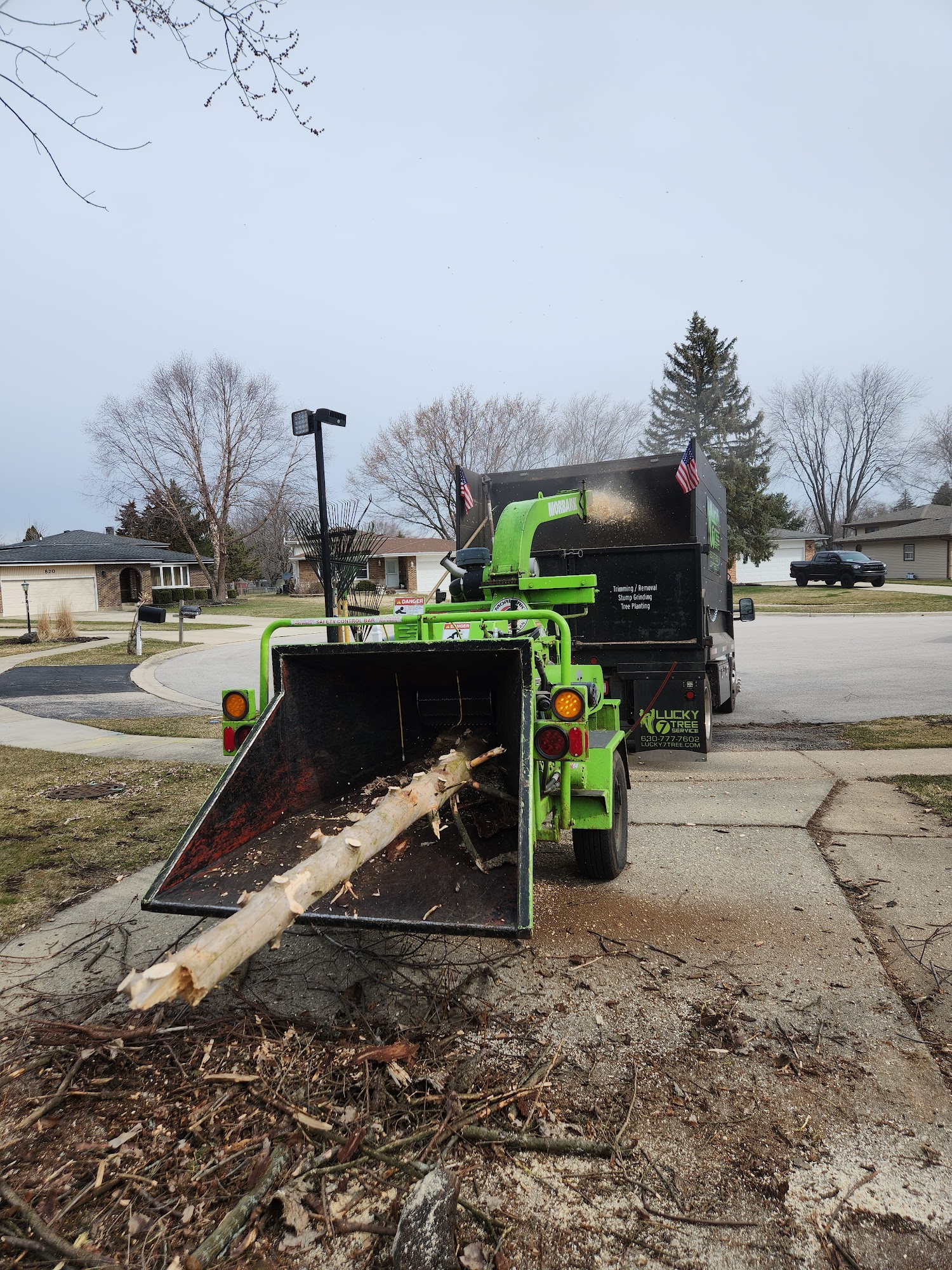 Lucky 7 Tree Service