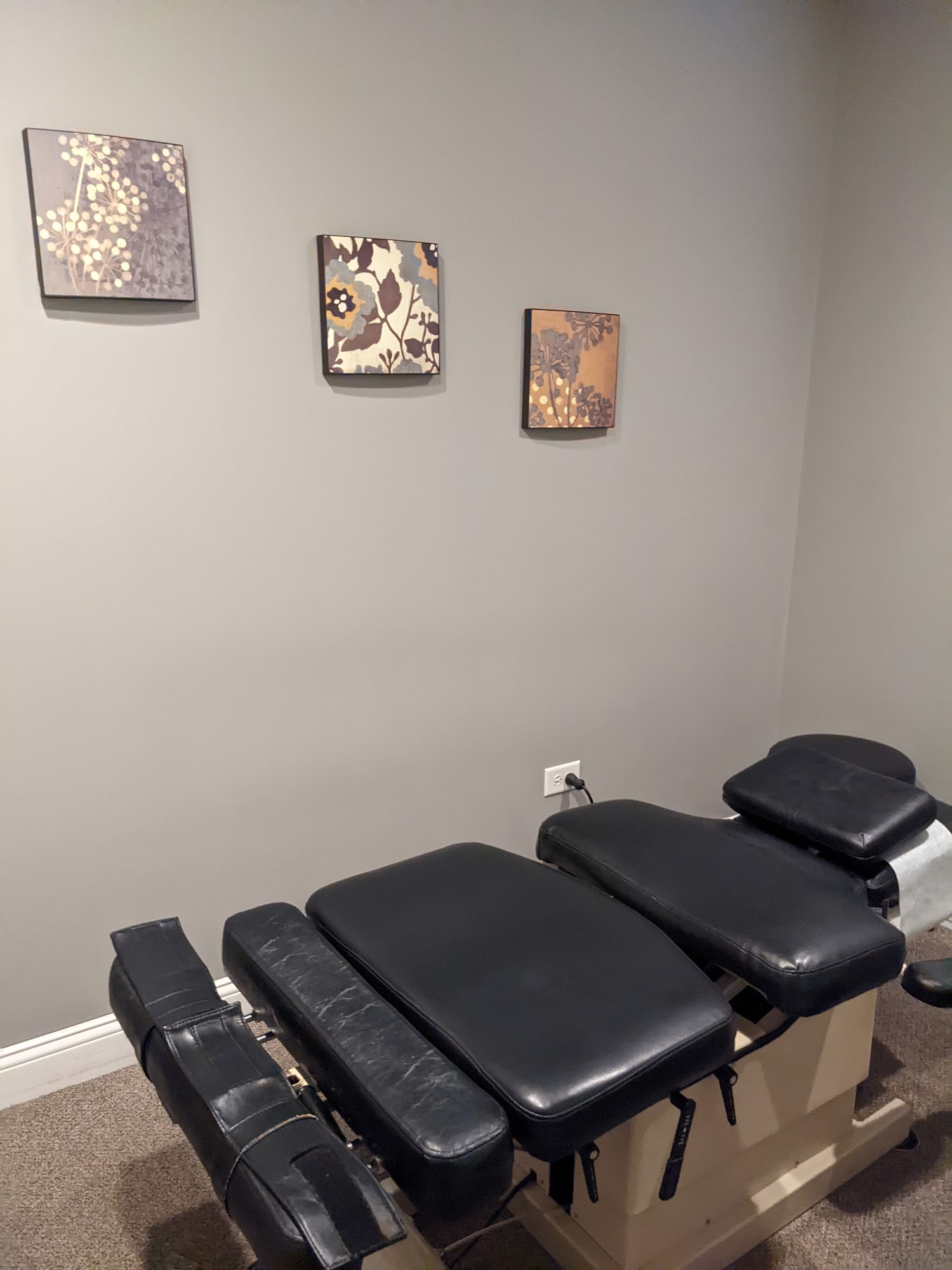 Back In Balance Chiropractic & Acupuncture Center 518 Hillgrove Ave #275, Western Springs Illinois 60558