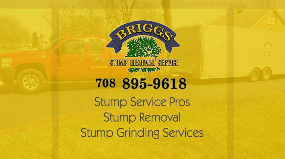 Briggs Stump Removal Stump Services Pros