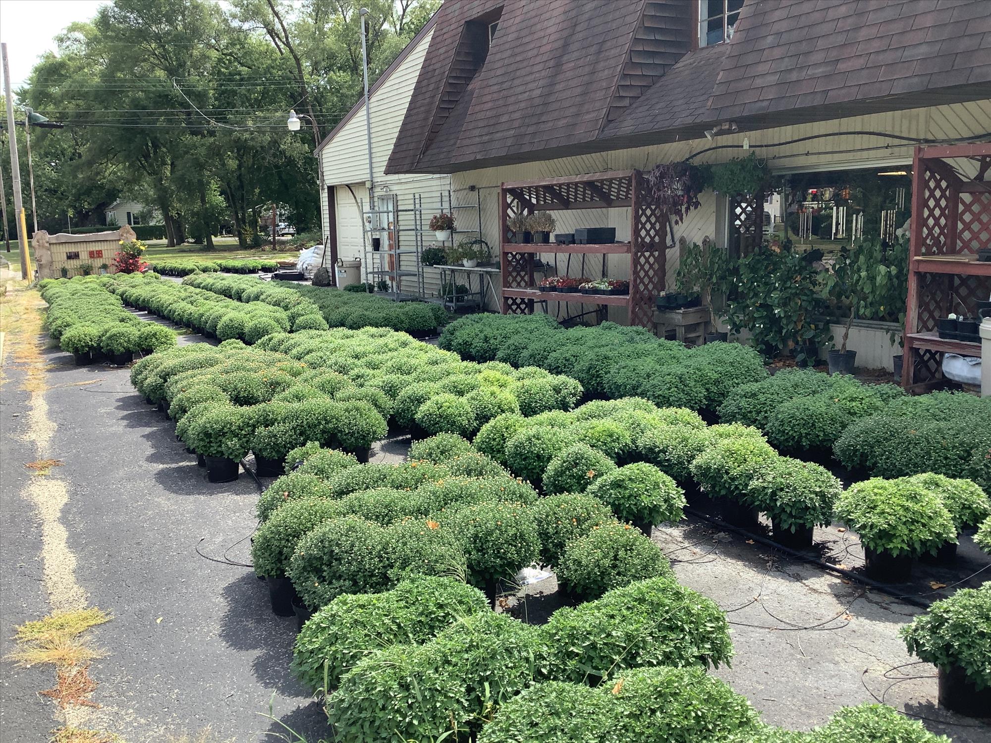 Liggett's Floral Shop & Greenhouse 537 N Main St, Albany Indiana 47320