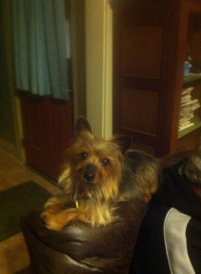 Key's Kanine Kountry Klub Alexandria