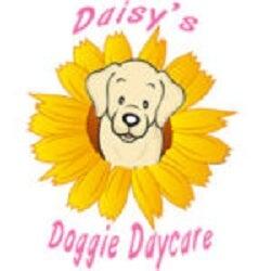 Daisy's Doggie Daycare 471 N Huntersville Rd, Batesville Indiana 47006