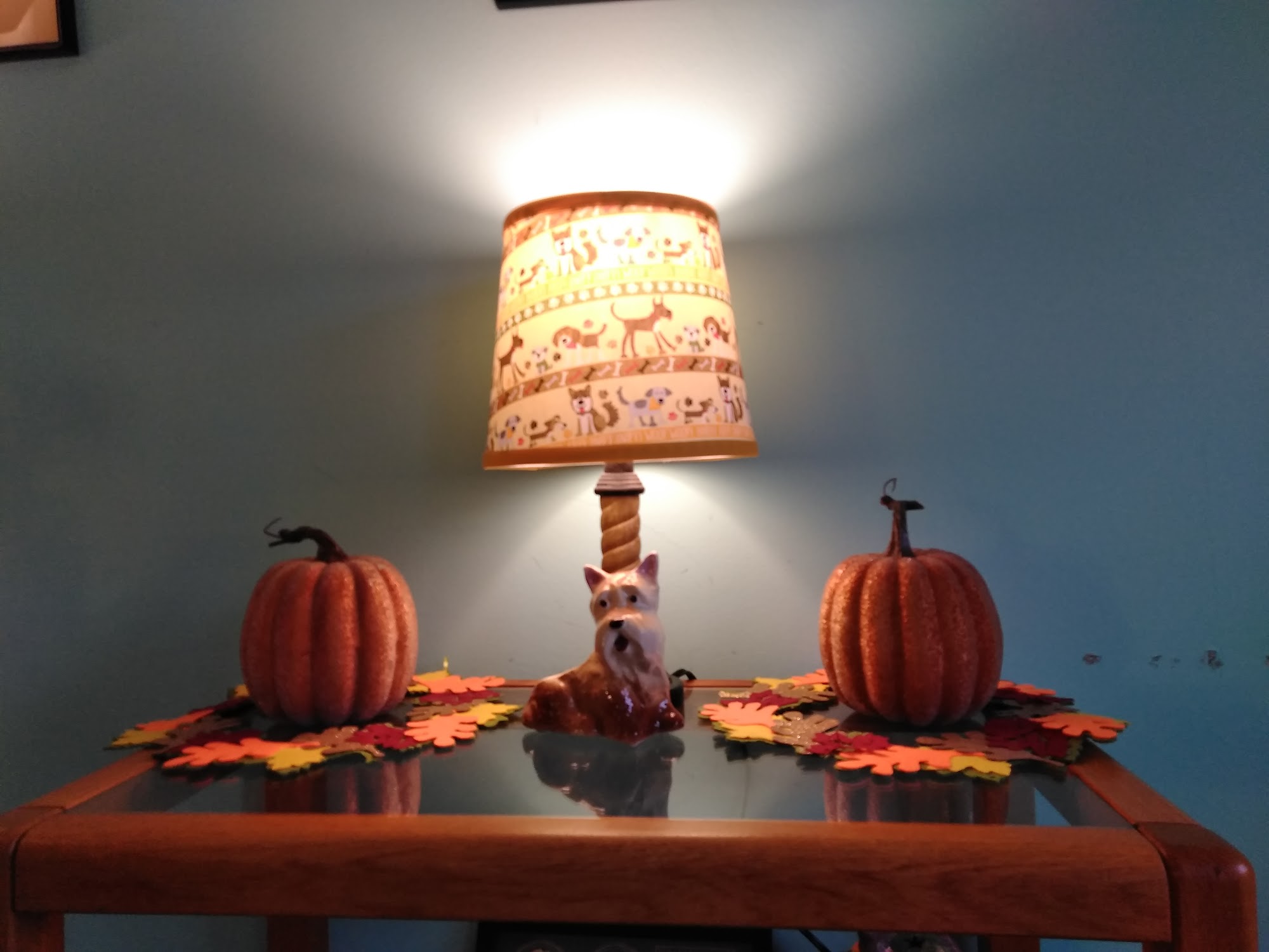 South Bark Salon Bloomington