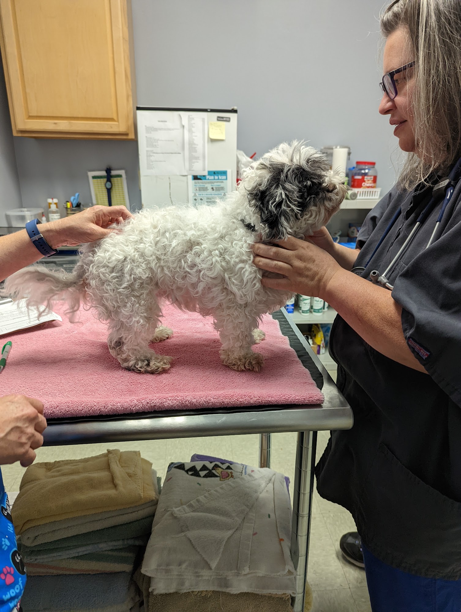 Pets Alive - Nonprofit Spay/Neuter & Wellness Clinic