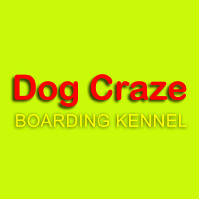 Dog Craze Boarding Kennel 6975 Co Rd 34, Butler Indiana 46721