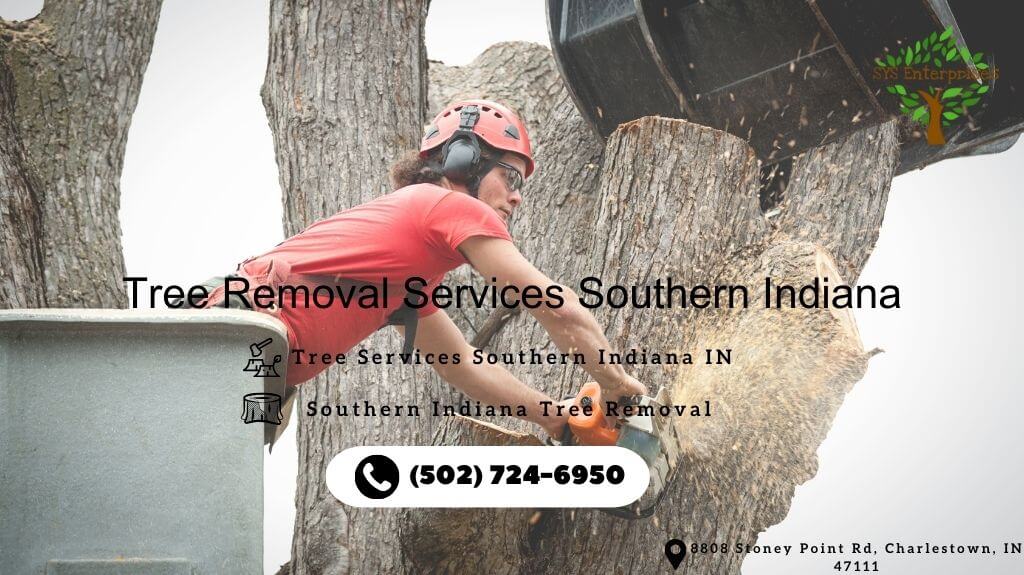 Trees Unlimited | SYS Enterprises | Indiana & Kentucky Tree Services