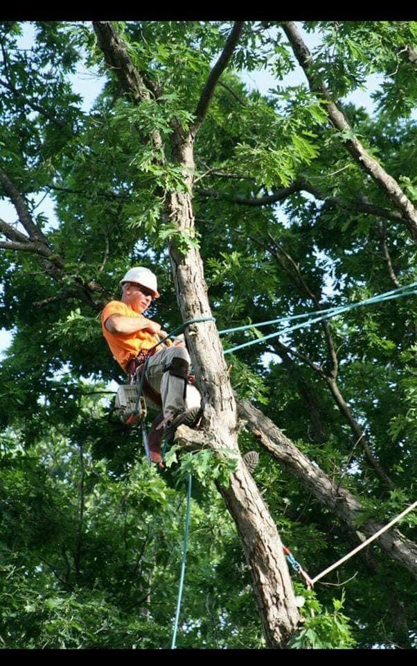 Oliver Tree Service