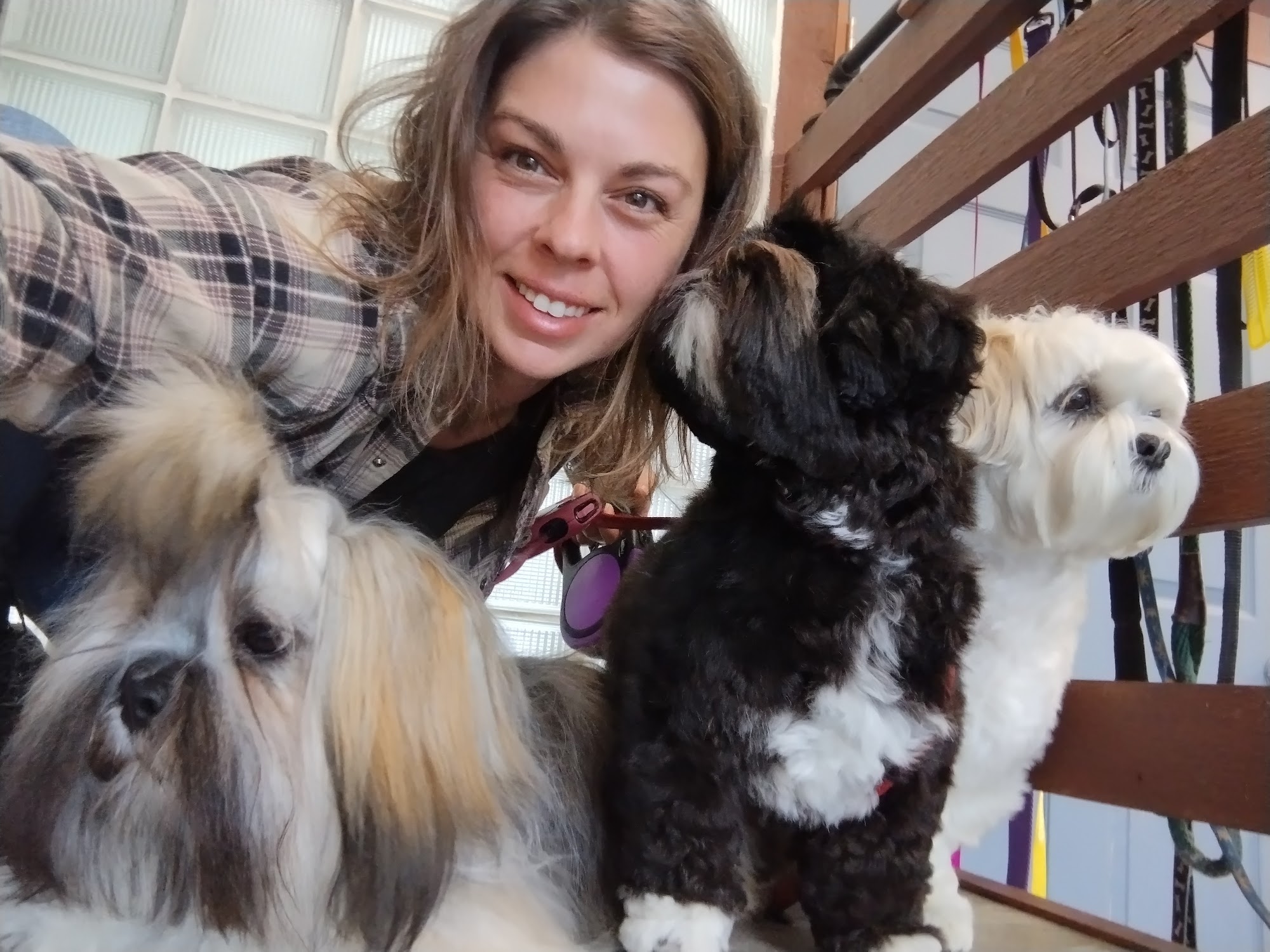 Pierre's Pet Salon LLC Columbus