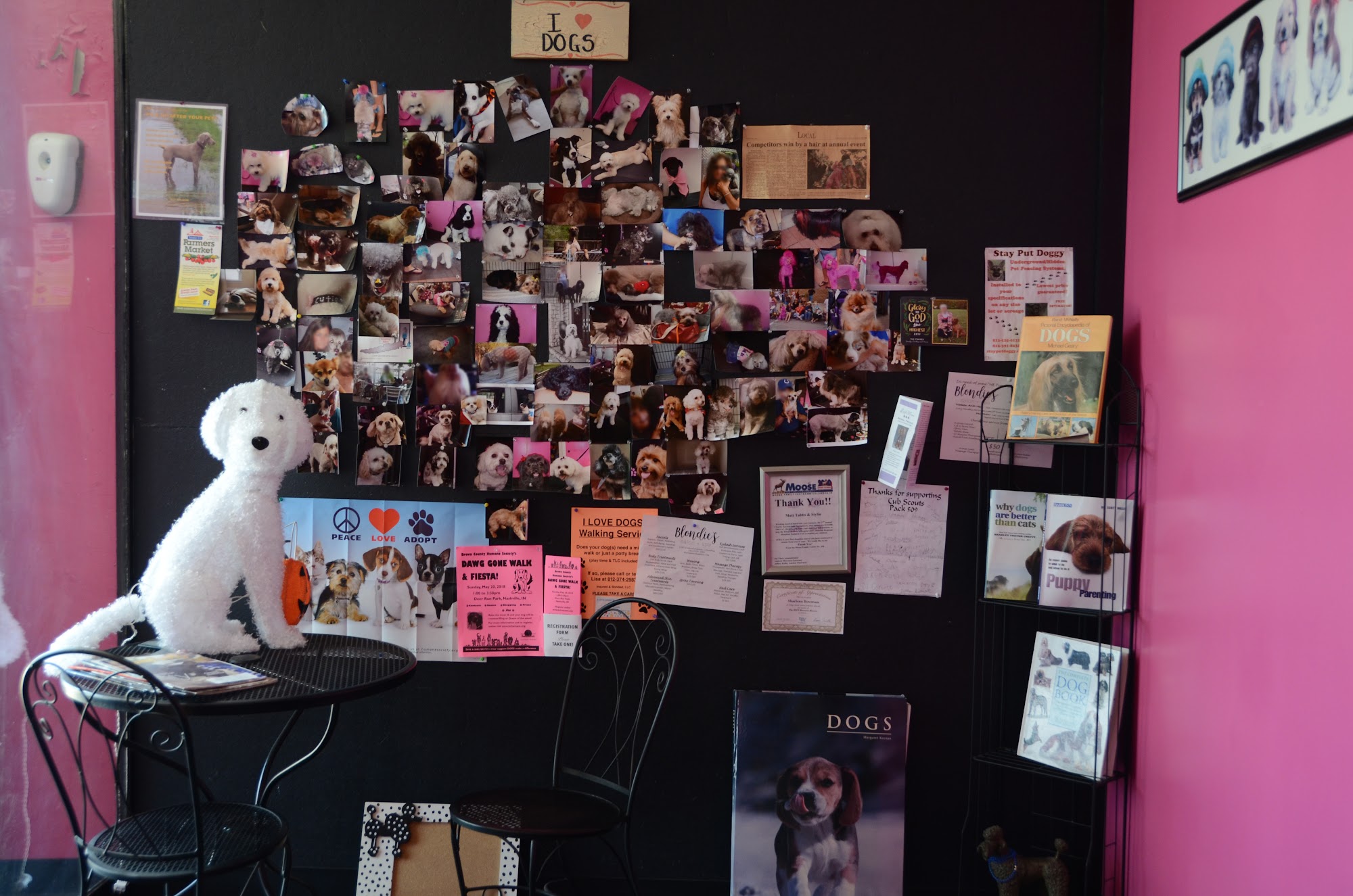 Mutt Tubbs N' Stylin Dogs Columbus