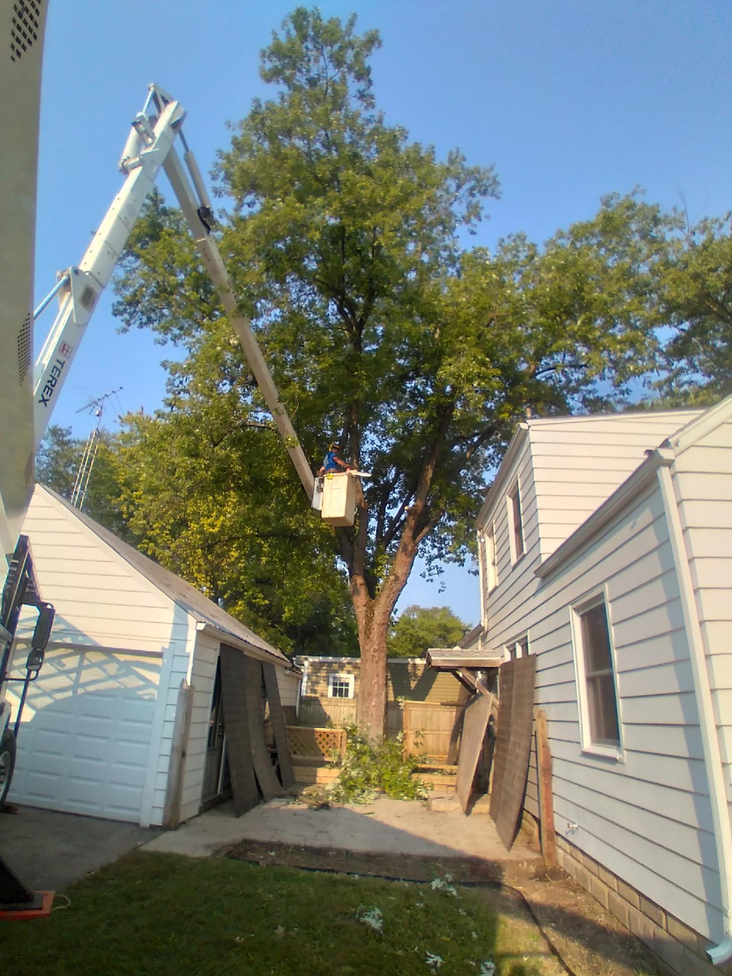 Josh Newsome's Tree Surgery 6151 S Overlook Dr, Daleville Indiana 47334