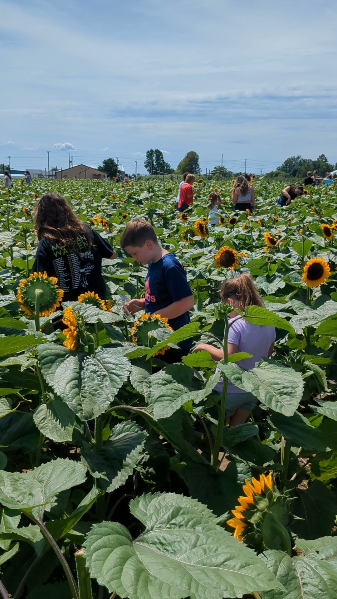 Beasley's Orchard