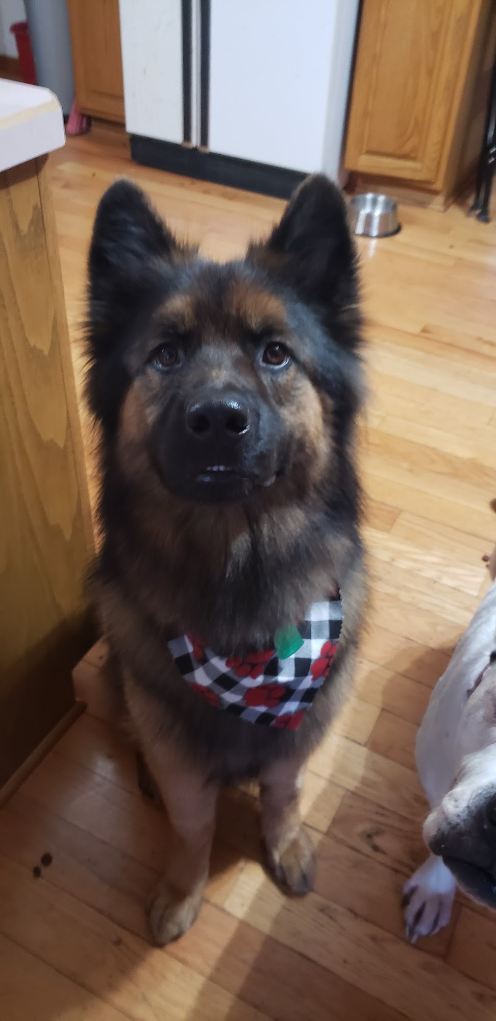 The Groom Room Elkhart