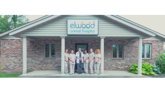 Elwood Animal Hospital 10080 IN-37, Elwood Indiana 46036