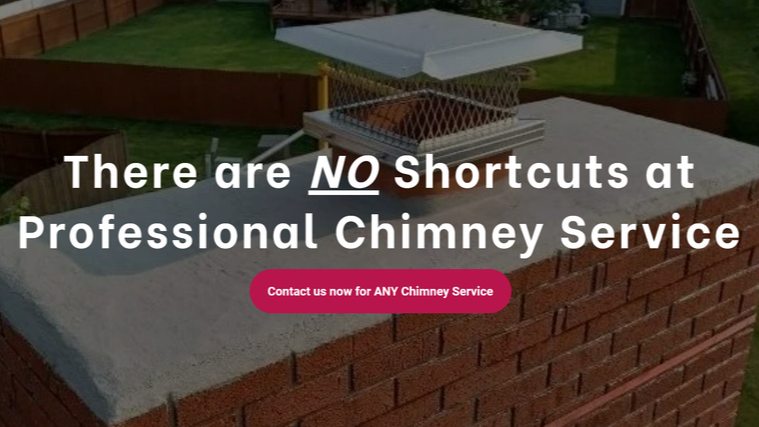 Professional Chimney Service