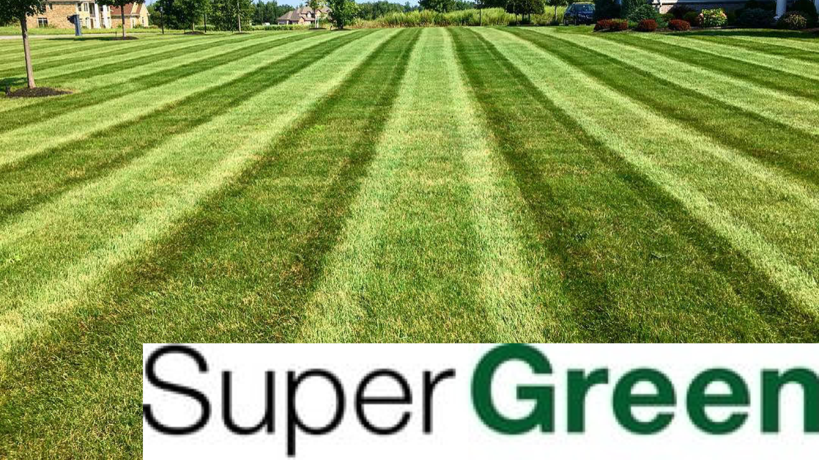 Super Green Lawn Care, LLC