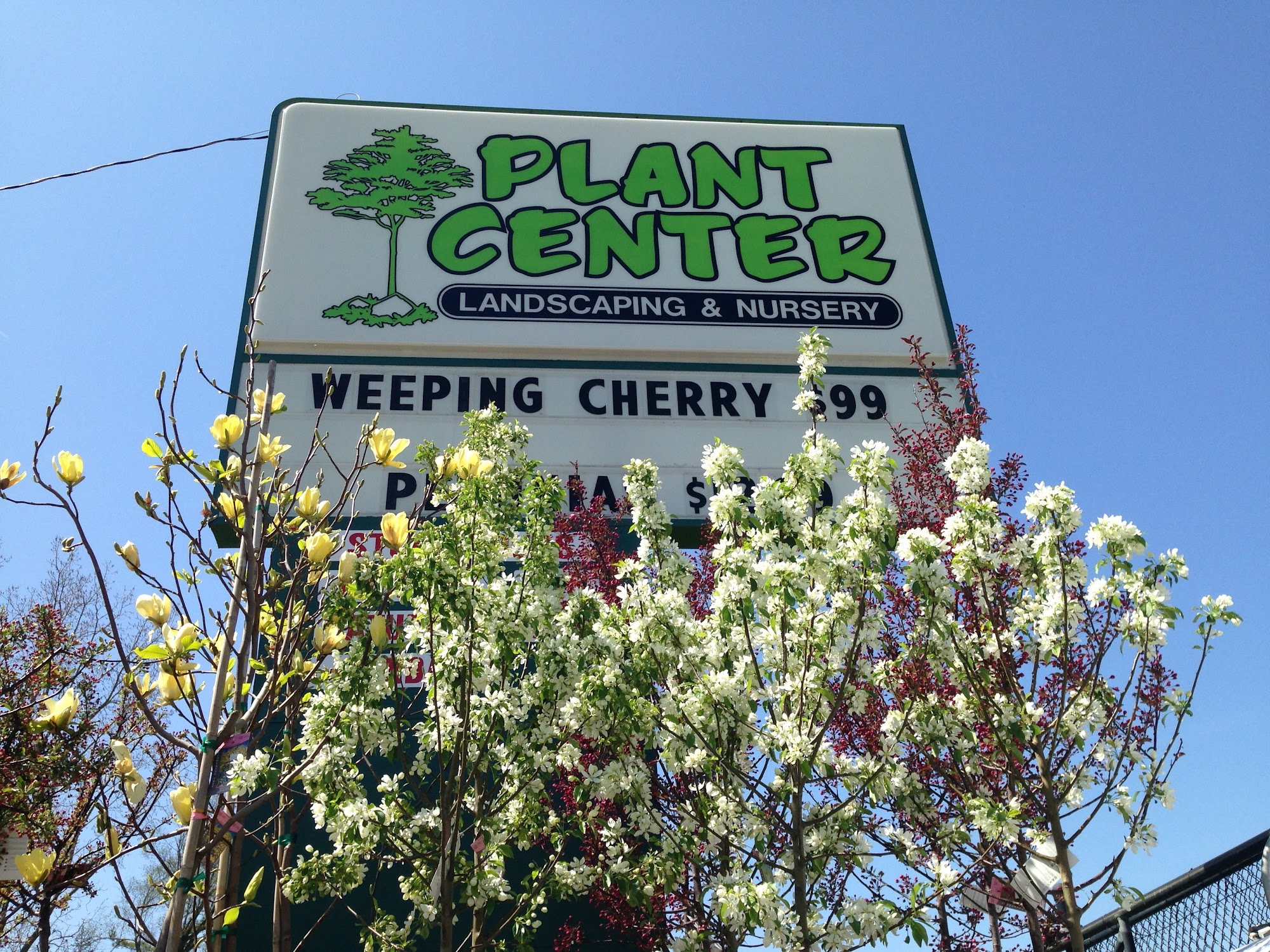 Plant Center Inc